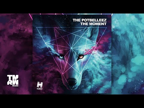 The Potbelleez - The Moment