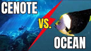 Diving CENOTES or OCEAN in MEXICO?! Which is better?