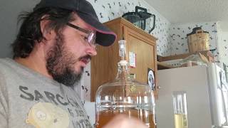 hot camera woman in my house! Apple cider wine day 62