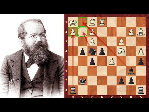 First World Chess Champion: Steinitz "Austrian Morphy" attacking beauty vs  Carl Hamppe  - 1860