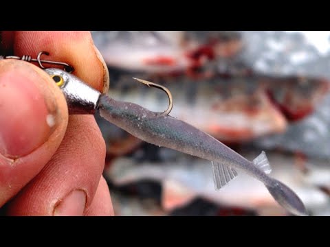 JIGIPILKINTÄÄ KIRKKAISSA VESISSÄ - AHVENET JYMPSÄHTELEE PIIKKIHÄNTÄÄN - UUDET VAVAT