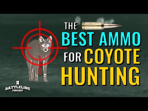 The best ammo for hunting coyotes