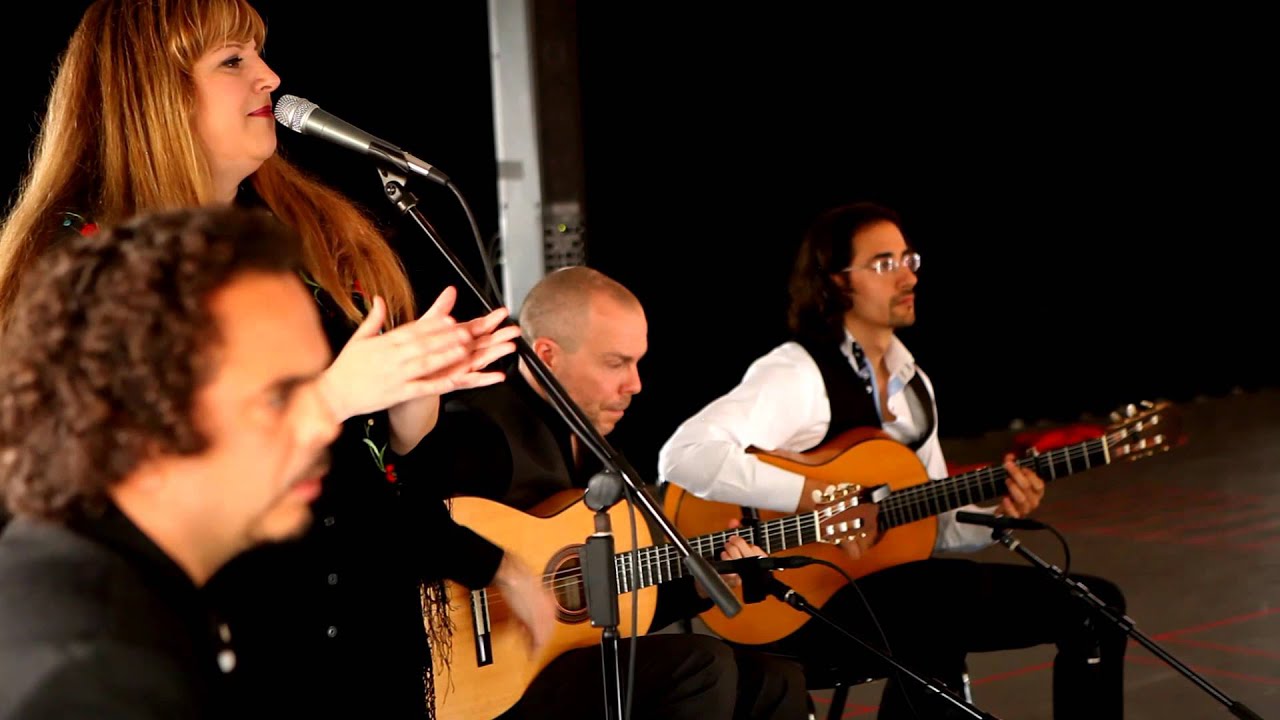 Promotional video thumbnail 1 for The Martin Metzger Flamenco Ensemble