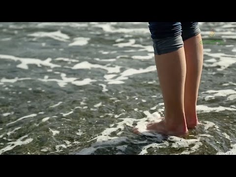 Haut- die Erkrankungen ähnlich der Schuppenflechte Die Aufnahme asd-2 bei der Schuppenflechte