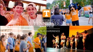 THE ROAD TO ROCKY TOP | University of Tennessee, Knoxville | New Vol Experience