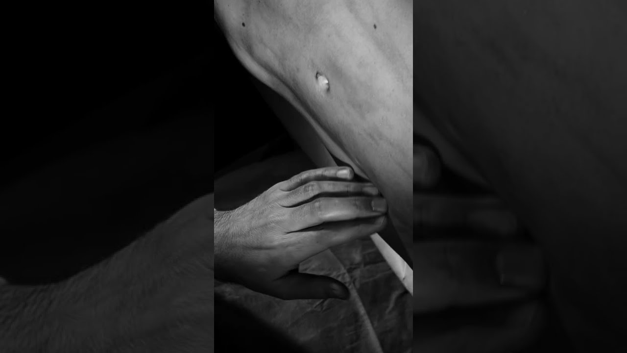 Alexo Carballeira Braña-19