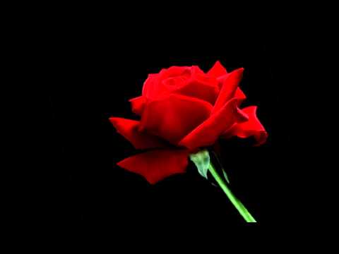 CreepyPasta - Troskliwa Matka - Lektor PL (Pasta MysteryTV)