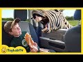 Animal Adventure Park Zoo with Animals for Kids, Dinosaur Fossil & Fun Outdoor Wildlife Activities