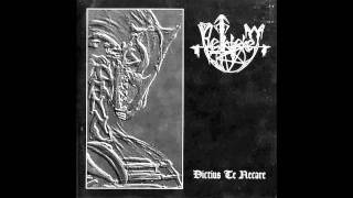 Bethlehem-Tagebuch einer Totgeburt (Cover)