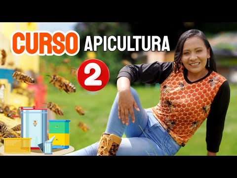 Apicultura para principiantes: La guía definitiva | Curso # 2