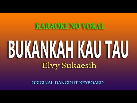 BUKANKAH KAU TAU - KARAOKE DANGDUT NO VOKAL - ELVY SUKAESIH