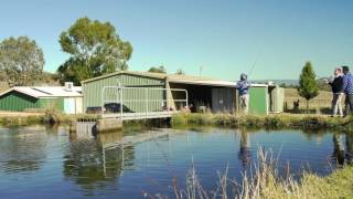 The Road To Tajima Part 2 Gone Fishing