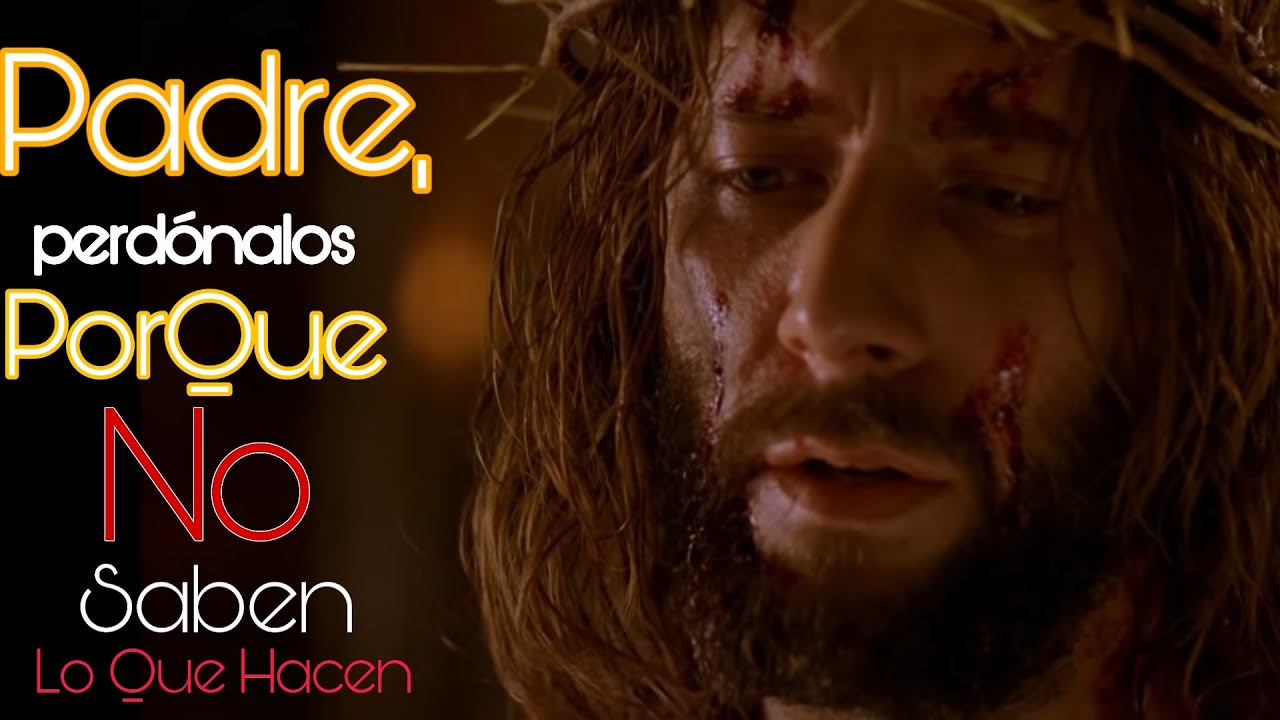 Watch Padre, perdónalos por qué no saben lo que hacen Now Padre, perdónalos por qué no saben lo que hacen