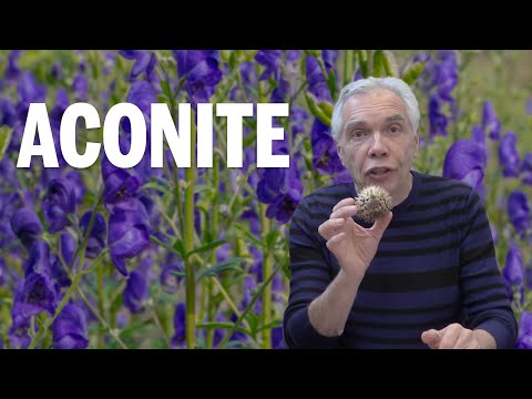 Dr Joe Schwarcz talks about the poison aconite