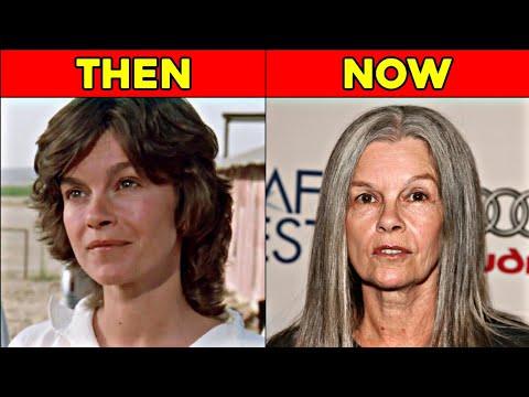The Last Flight of Noah's Ark 1980 Cast Then and Now | Who Have Changed A Lot