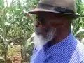 Laughter Moments Of St Noah Taguta Johane Marange Church