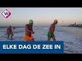 Winter of niet, deze vriendengroep duikt elke dag de zee in - OMROEP WEST