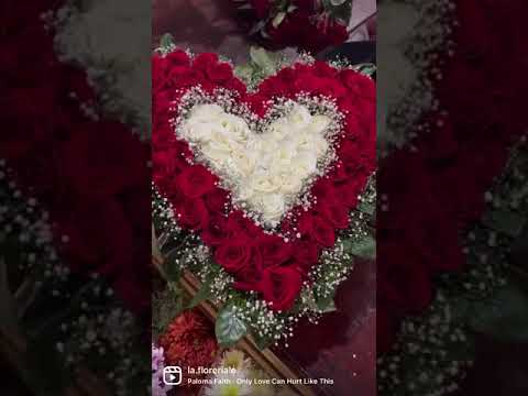 Video de LA FLORERÍA