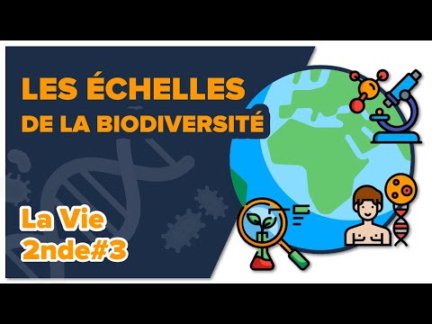 Les échelles de la biodiversité - SVT - LA VIE 2nde #3- Mathrix