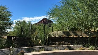 Episode 806 – Gardening in the Desert Southwest