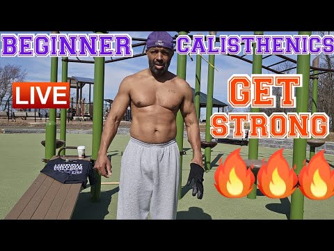 HOW TO LEARN CALISTHENICS FOR BEGINNERS ||  FULL BODY BODYWEIGHT WORKOUT  ||  SEAN G  ALWAYS 10 SETS