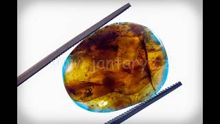 Druhohorní jantar z Myanmaru JHI-2