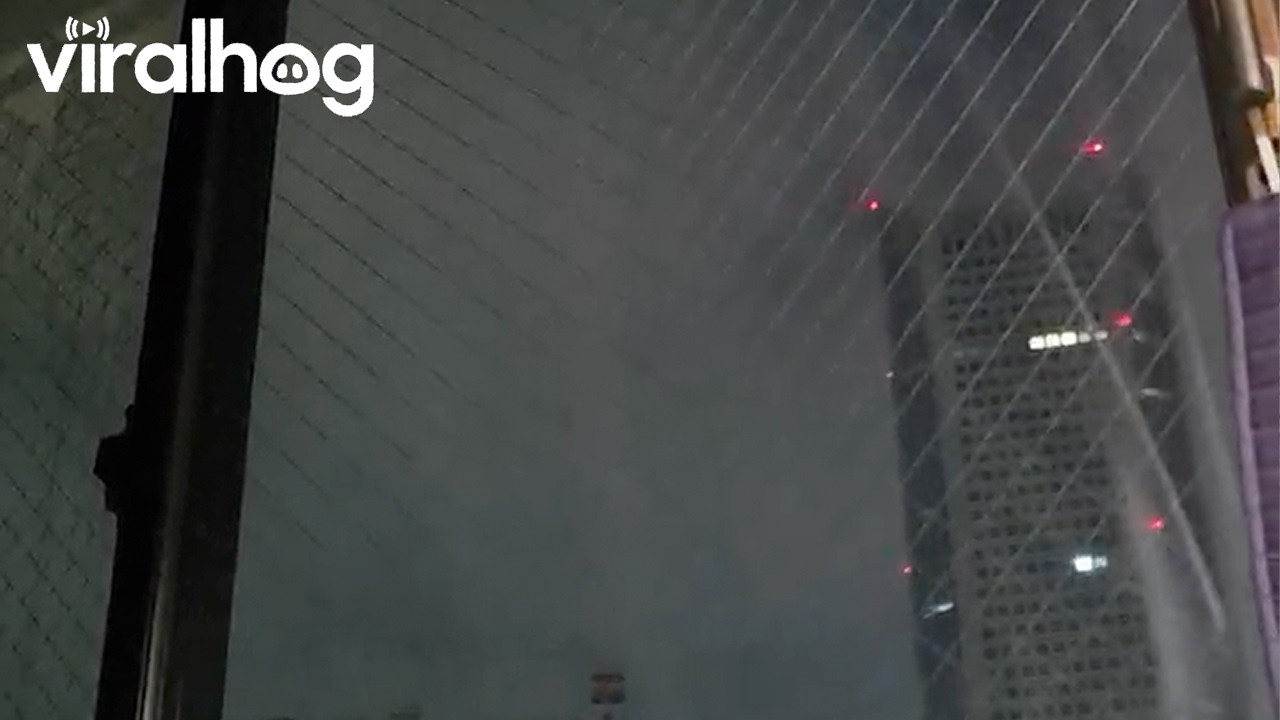 Earthquake Hits Tokyo || ViralHog