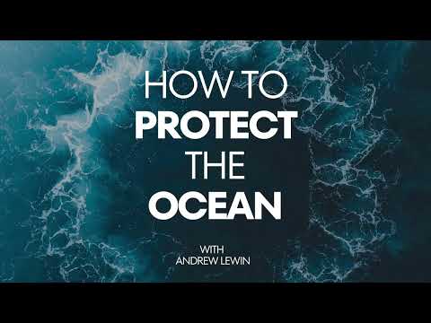 Whales don’t get cancer: How bowhead whale DNA could change human health