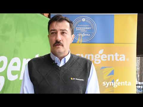 Hibridi suncokreta za stresnije i intezivnije uslove gajenja