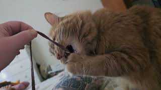 Two Days Left Until Mommy Goes Back to Work