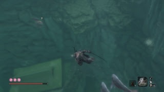 ［隻狼-SEKIRO-］＃11　のんびり初見プレイ　［お米ちゃん可愛い］