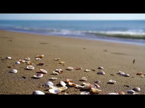 Ultimate mind relaxation Beach Sound 3.5  hours on the summer beach
