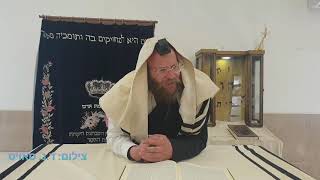 הלכה יומית | דיני ברכת הריח - חנותו של בשם | הרב צבי חלמיש שליט"א