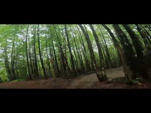 Kingdom Trails August 2022