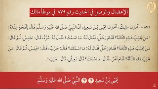 شذرات السالك على روايات مالك image