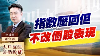 指數壓回但不改個股表現 (圖)