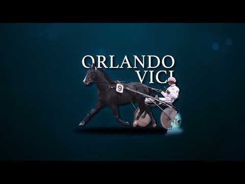 ORLANDO VICI | Haras des Trotteurs