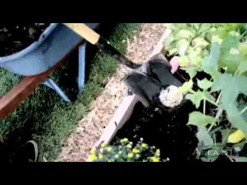 Above & Beyond & Gareth Emery pres  OceanLab   On A Good Day Metropolis OFFICIAL HD VIDEO720p H 264 AAC1