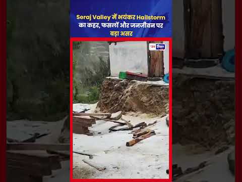 Mandi Saraj Valley में Hailstorm से भारी नुकसान की आशंका
