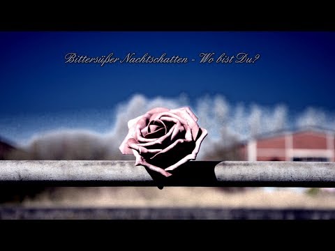 Wo bist Du? (Bittersüßer Nachtschatten)