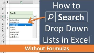 Searchable Drop Down Lists in Excel - The List Search Add-in