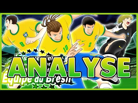 [CTDT] ANALYSE STEP BRESIL (SALINAS-ALBERTO-RADUNGA-NATUREZA)