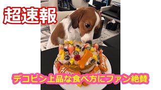 デコピン上品な食べ方にファン絶賛