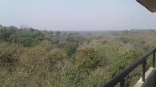 preview picture of video 'Nice place  সাতছরি জাতীয় উদ্যান সিলেট .'