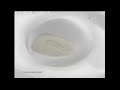 Iklan Citra Spotless White 2013