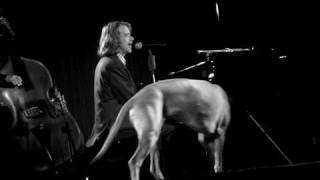 Helge Schneider - Meisenmann