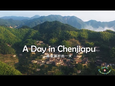 A Day in Chenjiapu | Fun in Countryside| countryside life | beautiful sight | Zhejiang