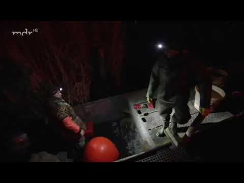 Mansfelder Land-die böse Sieben Teil 1