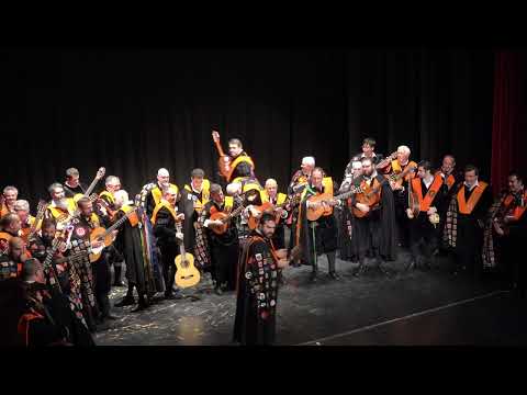 TUNA DE ECONOMICAS DE SEVILLA 15 11 2025