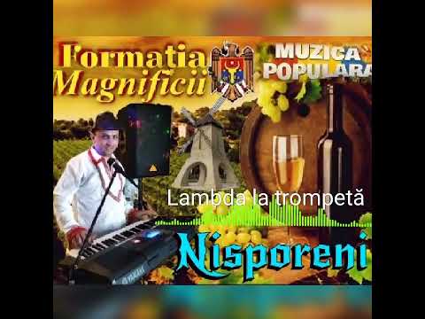 Formația Magnificii Nisporeni New 2023 ReMix Disko - Lambda la trompetă